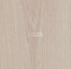 Кварцвиниловые полы Forbo Allura Flex Wood 63406FL1-63406FL5 bleached timber фото 1 | FLOORDEALER